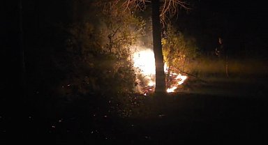 Alanya'da ormanlık alanda çıkan yangın büyümeden söndürüldü