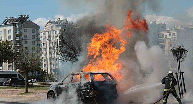 Alev topuna dönen araçtan kedisiyle birlikte son anda çıktı: Sahibinin omuzundan bir an olsun ayrılmadı