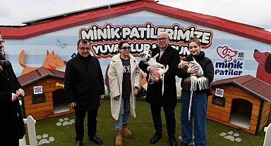 Altıeylül' de can dostlar sıcak yuva bekliyor