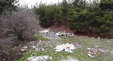 Amasya'da orman çöplüğe dönüştü: "Bu toprakları piyangodan kazanmadık"