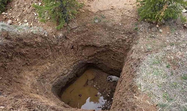 Ankara'da kaçak kazının yapıldığı çukura düşen köpek kurtarıldı