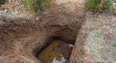 Ankara'da kaçak kazının yapıldığı çukura düşen köpek kurtarıldı