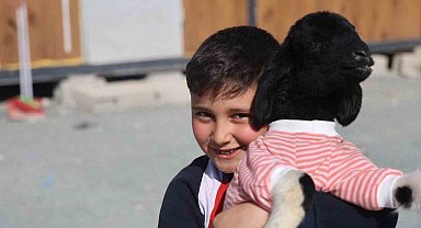 Annesi doğumda telef olan 'Boncuk' kuzu, elbisesi ve biberonuyla ilgi odağı oldu