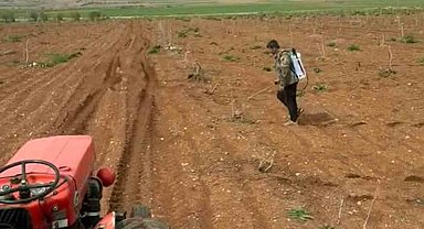 Araban'da Antep fıstığı tarlalarında yabancı otlarla ilaçlı mücadele