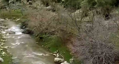 Araban'da kuruyan Ardıl Çayı yıllar sonra yeniden akmaya başladı