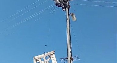 Aras Elektrik'ten doğa dostu adım: Fırtınada zarar gören leylek yuvaları yeniden yerine yerleştirildi