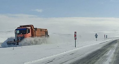 Ardahan'da kar ve tipi ulaşımı aksatıyor