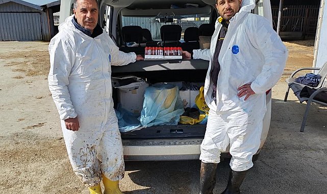 Ari işletmede tüberküloz ve brusella testi yapıldı