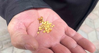 Ata tohumlarla tarımın hafızasını yaşatıyor