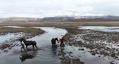 Atla gezi suda bitti