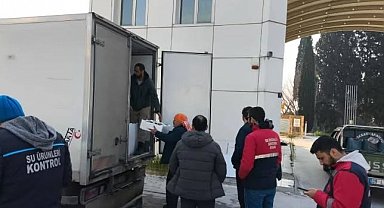 Aydın'da nakil belgesiz 290 kasa balığa el konuldu