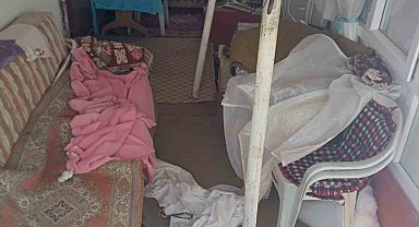 Ayıların Sis Dağı'ndaki yayla evlerine girme mesaisi yeniden başladı