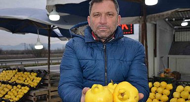 Ayvayı bu sene ayaz vurdu, fiyatlar fırladı