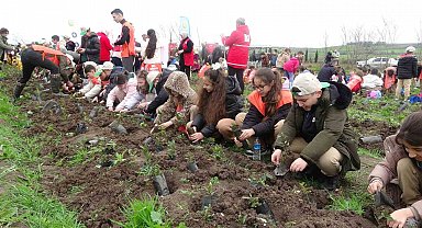 Bafra'da minik eller 3 bin fidanı toprakla buluşturdu