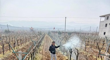 Bağlarda çiçek öncesi ilaçlama programı açıklandı