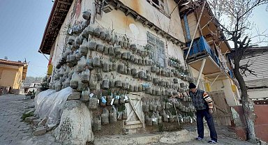 Bahçede yetiştiremeyince çözümü evinin duvarında buldu