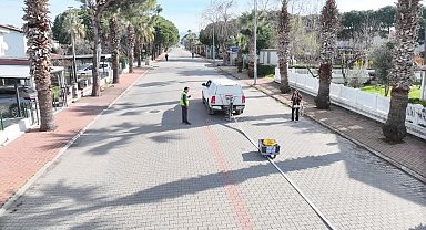 BALDEP Projesi Altınova Sahili'nde sürüyor