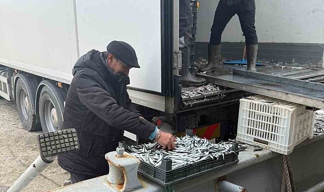 Balıkçı Ramazan'da ücretsiz hamsi dağıttı