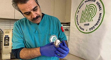 Balıkesir'de bitkin halde bulunan porsuk yavrusu koruma altına alındı