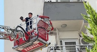 Balkon filesine takılan güvercini itfaiye kurtardı