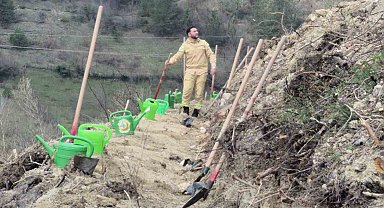 Bartın'da geçen yıl yanan ormana 400 fidan dikildi