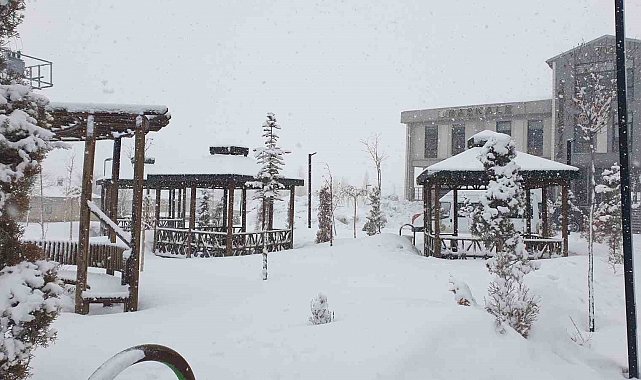 Başkale'de kar yağışı