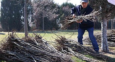 Başkan Altay: "23 bin 500 adet fidanı çiftçimize ulaştıracağız"