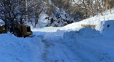 Batman'da karla mücadele çalışmaları sürüyor