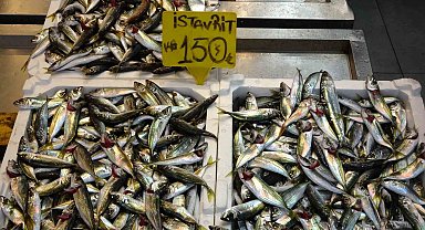 Bayram öncesi balık tezgahlarında bolluk