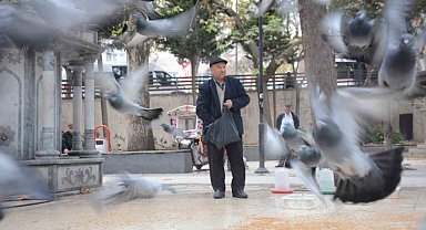 Bayramda eşini dostunu bıraktı, beslediği kuşlara koştu