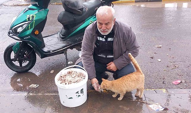 Bayramda sokak hayvanlarını unutmadı