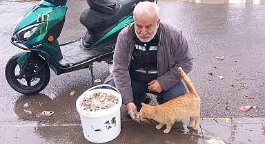 Bayramda sokak hayvanlarını unutmadı