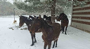 Bayramda Spil'e kar sürprizi