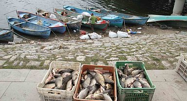 Beyşehir Gölü'nde av yasağı başlıyor
