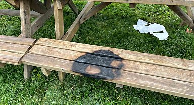 Bilecik'te kamu alanlarına verilen zarara tepki