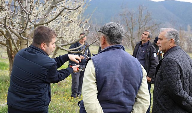 Bilecik'te üreticilere gübreleme ve budama kursu