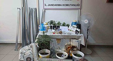 Bilgi notuyla apartman dairesinde uyuşturucu serası kurdular, jandarmadan kaçamadılar