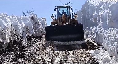 Bingöl'de karla mücadele çalışmaları sürüyor