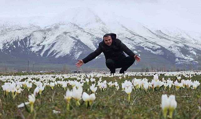 Bitlis'te baharın müjdecisi kardelenler açtı