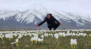 Bitlis'te baharın müjdecisi kardelenler açtı