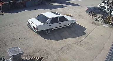 Bolu'da köpeğin üzerinden geçen sürücü gözaltına alındı