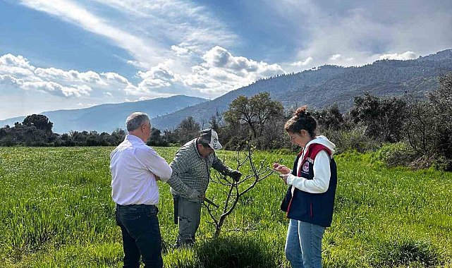 Bozdoğan İlçe Tarım ve Orman Müdürlüğü ekipleri ilek bahçesinde bakım yaptı