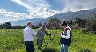 Bozdoğan İlçe Tarım ve Orman Müdürlüğü ekipleri ilek bahçesinde bakım yaptı