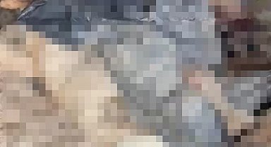 Bozüyük'teki barınak skandalına bir yenisi daha eklendi