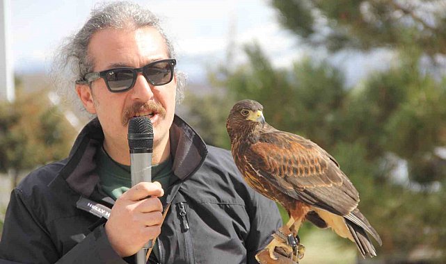 Bu Nevruz diğerlerinden farklı: Kurtlar alanda gezdi, şahin havada uçtu