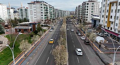 Bulvarlar süs armutlarıyla görsel şölene dönüştü