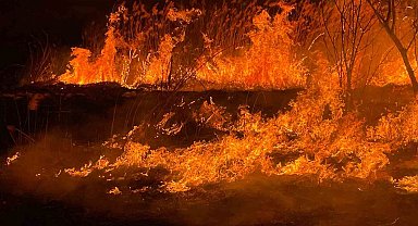 Burdur'da sazlık alanda yangın geceyi aydınlattı