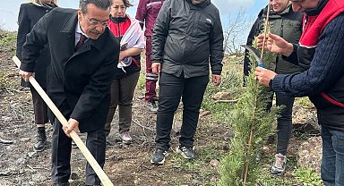 Burhaniye'de 315 fıstıkçamı fidanı toprakla buluşturuldu