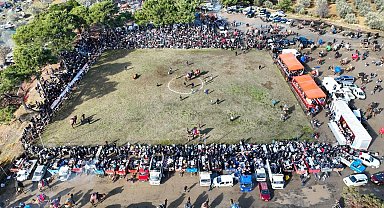 Burhaniye'de deve güreşleri Pelitköy sahasında yapılacak