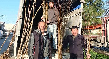 Burhaniye'de meyvecilik gelişiyor